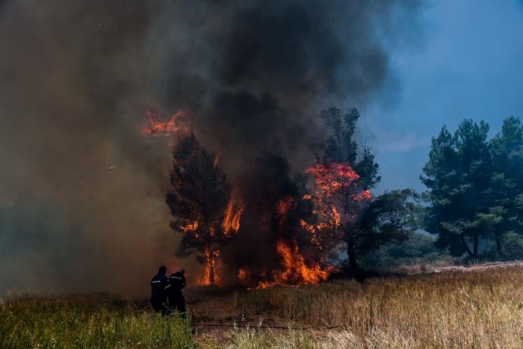 Πυρκαγιά στον Ασπρόπυργο - μάχη με τις φλόγες