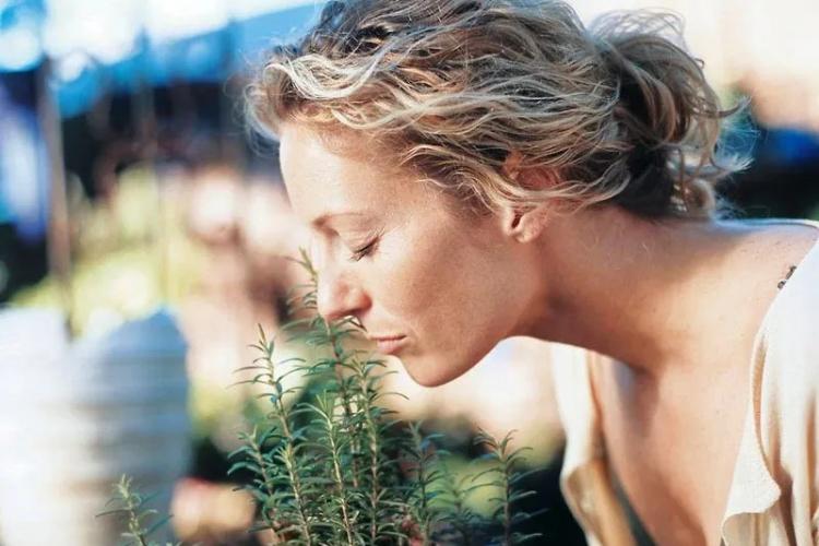 Άσθμα και βότανα 