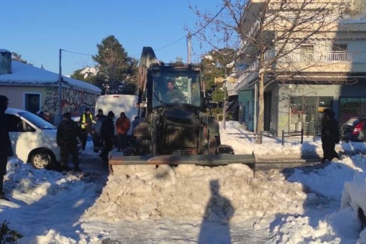 αποζημίωση πτώσεις δέντρων