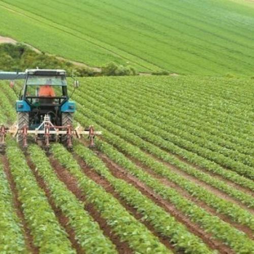 αγροτική ανάπτυξη