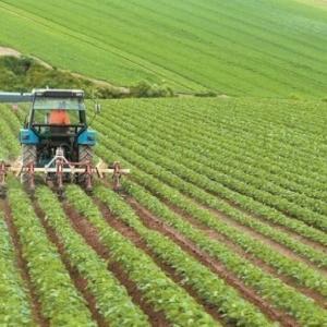 αγροτική ανάπτυξη