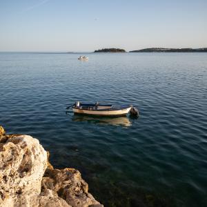 παγασητικος