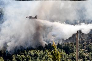 φωτια στα Βίλια τρίτη μέρα