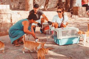 Αδέσποτα