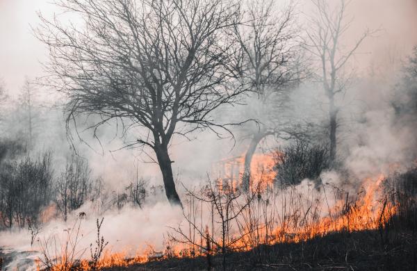 Πυρκαγιά μαίνεται στην Αγριλιά Μεσολογγίου
