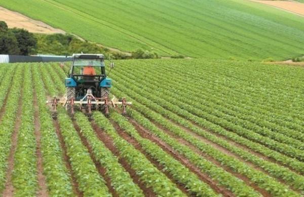 αγροτική ανάπτυξη